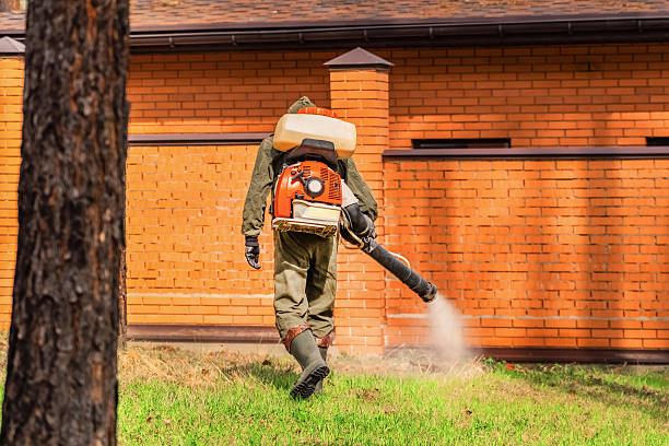 Trusted Termite Control service in South Bradenton, FL - Nex Pest Control